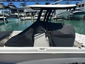 Thumbnail von Boston Whaler 250 Dauntless
