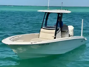 Thumbnail von Boston Whaler 250 Dauntless