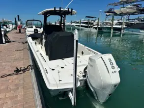 Thumbnail von Boston Whaler 250 Dauntless