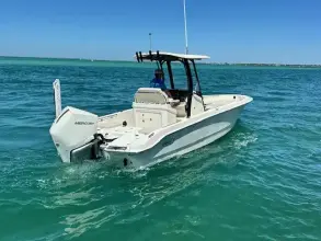 Thumbnail von Boston Whaler 250 Dauntless