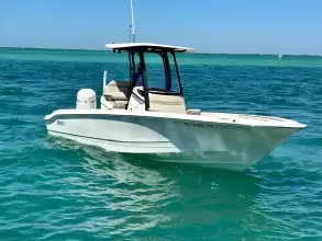 Thumbnail von Boston Whaler 250 Dauntless
