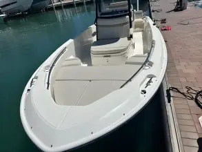 Thumbnail von Boston Whaler 250 Dauntless