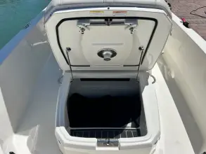 Thumbnail von Boston Whaler 250 Dauntless
