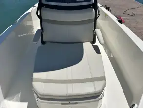 Thumbnail von Boston Whaler 250 Dauntless