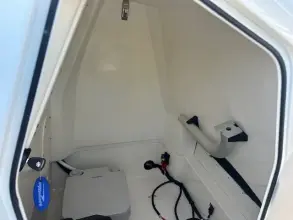 Thumbnail von Boston Whaler 250 Dauntless