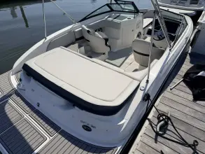 Thumbnail von Sea Ray SPX 190