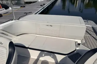 Thumbnail von Sea Ray SPX 190