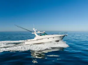 Thumbnail von Tiara Yachts 4100 Open