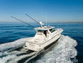 Thumbnail von Tiara Yachts 4100 Open