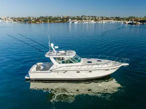 Thumbnail von Tiara Yachts 4100 Open