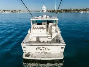 Thumbnail von Tiara Yachts 4100 Open