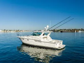 Thumbnail von Tiara Yachts 4100 Open