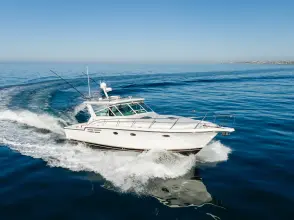 Thumbnail von Tiara Yachts 4100 Open