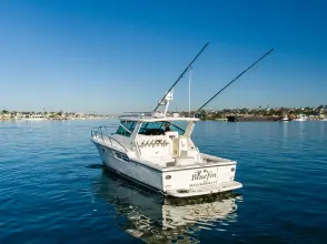 Thumbnail von Tiara Yachts 4100 Open