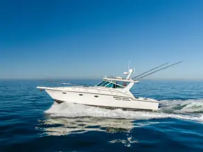 Thumbnail von Tiara Yachts 4100 Open