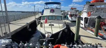Thumbnail von Burpee Dive Boat