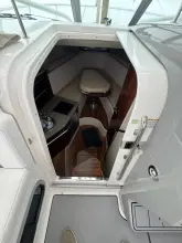 Thumbnail von Robalo 305 WA