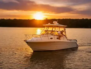 Thumbnail von Robalo 305 WA