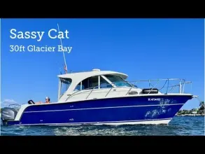 Thumbnail von Glacier Bay 3080 Sassy Cat