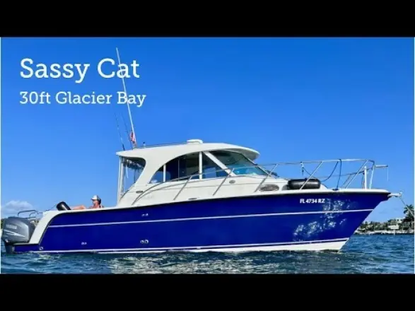 Glacier Bay 3080 Sassy Cat