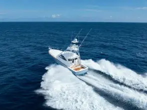 Thumbnail von Viking 54 Sports Tower In-Stock 2025 Viking 54ST 54-912