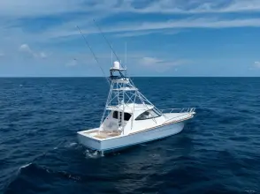 Thumbnail von Viking 54 Sports Tower 2026 Viking 54ST