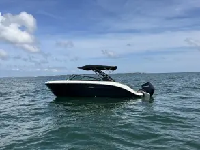 Sea Ray SDX 250 Outboard