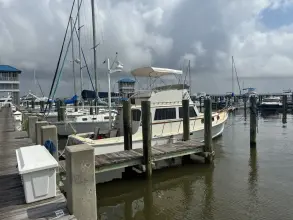 Thumbnail von Duffy 35 Flybridge Kreweboat