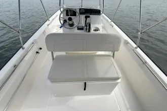Thumbnail von Boston Whaler 170 Montauk