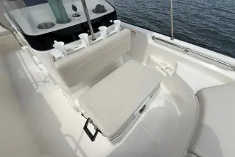 Thumbnail von Boston Whaler 170 Montauk