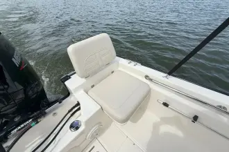 Thumbnail von Boston Whaler 170 Montauk