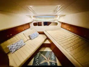 Thumbnail von Sea Ray 390 Motor Yacht