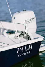 Thumbnail von Custom Palm Yachts 17