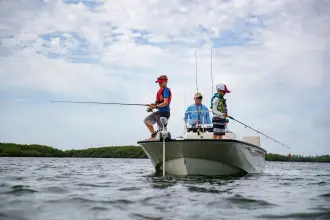 Thumbnail von Boston Whaler 170 Montauk