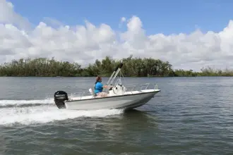 Thumbnail von Boston Whaler 150 Montauk