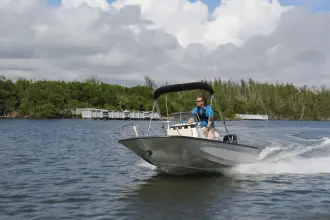 Thumbnail von Boston Whaler 150 Montauk
