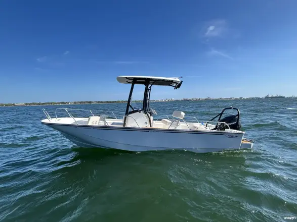 Boston Whaler 210 Montauk