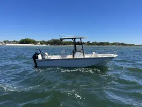 Thumbnail von Boston Whaler 210 Montauk