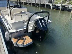 Thumbnail von Boston Whaler 210 Montauk