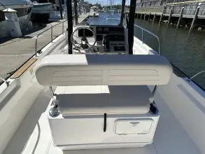 Thumbnail von Boston Whaler 210 Montauk