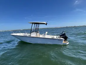 Thumbnail von Boston Whaler 210 Montauk