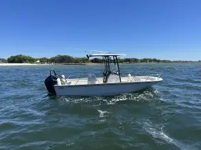 Thumbnail von Boston Whaler 210 Montauk