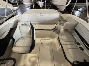 Thumbnail von Sea Ray SPX 190 Außenborder