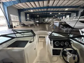 Thumbnail von Sea Ray SPX 190 Außenborder
