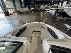 Thumbnail von Sea Ray SPX 190 Außenborder