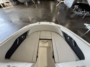 Thumbnail von Sea Ray SPX 190 Außenborder