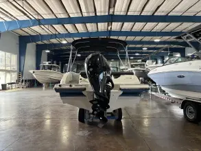 Thumbnail von Sea Ray SPX 190 Außenborder