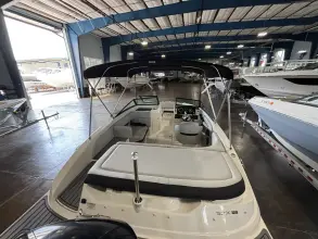 Thumbnail von Sea Ray SPX 190 Außenborder
