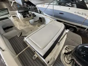 Thumbnail von Sea Ray SPX 190 Außenborder