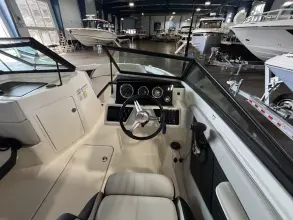 Thumbnail von Sea Ray SPX 190 Außenborder